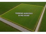 TERRENO AGRICOLO CON SUPERFICIE TOTALE DI  MQ 28.000