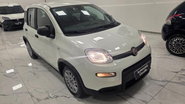 Fiat Panda 1.0 FireFly S&S Hybrid - Foto 4
