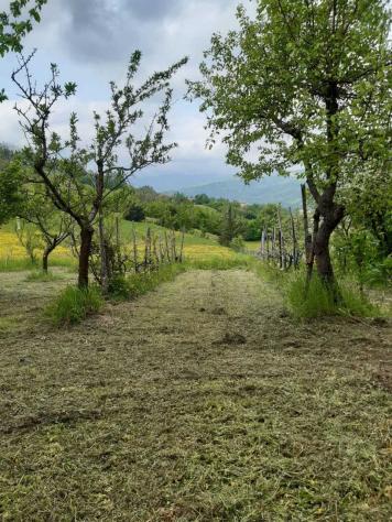 Terratetto in vendita a Pennabilli - Foto 6