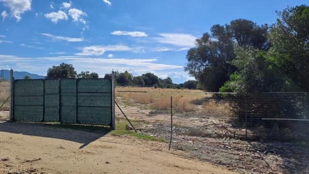 Agricolo in vendita a Quartucciu - Foto 4