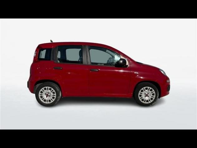 FIAT Panda 1.2 Easy 69cv E6 rif. 23725736 - Foto 4