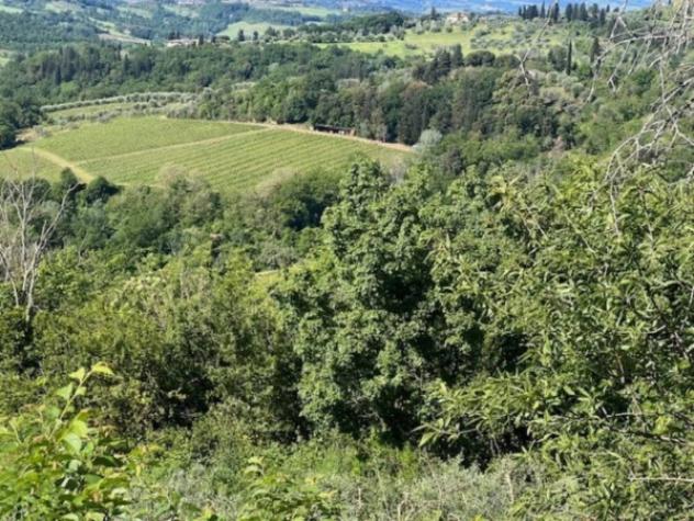 Immobile in asta di 157149 m² in vendita a Montespertoli - Foto 3