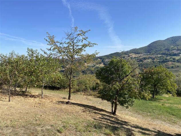 Rustico indipendente con fienile/stalla e giardino - Foto 6