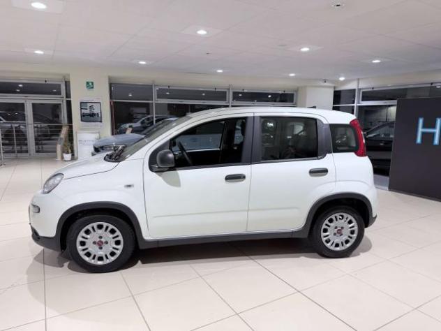 Fiat Panda Panda 1.0 firefly hybrid s - Foto 8