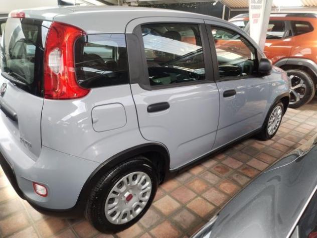 Fiat Panda 1.0 FireFly S&S Hybrid - Foto 3