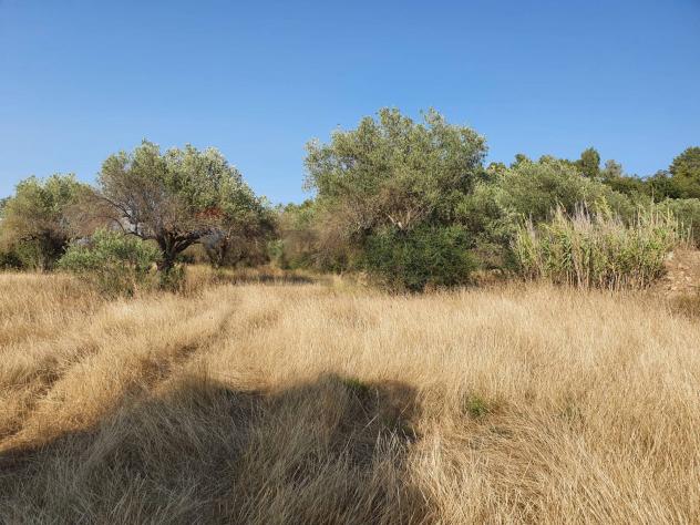 Terreno in vendita a Caltagirone, Santo Pietro - Foto 9