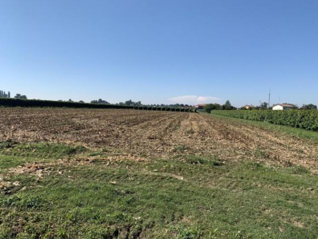 Terreno di 25000 m² in vendita a Rolo - Foto 2