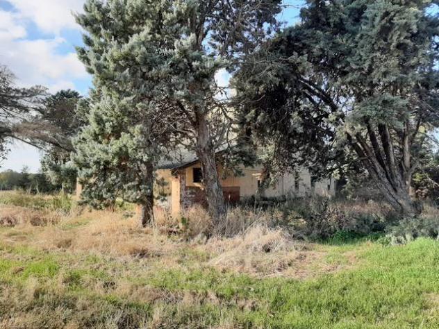 Rustico in vendita a Vada - Rosignano Marittimo 6000 mq Rif: 1198833 - Foto 4