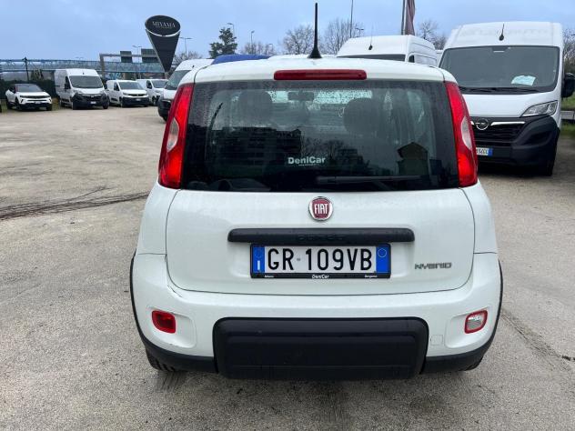 FIAT Panda Panda 1.0 FireFly S&S Hybrid - Foto 10