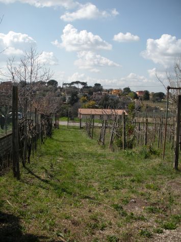 VALLE MARTELLA | Lotti di terreno edificabili - Foto 7