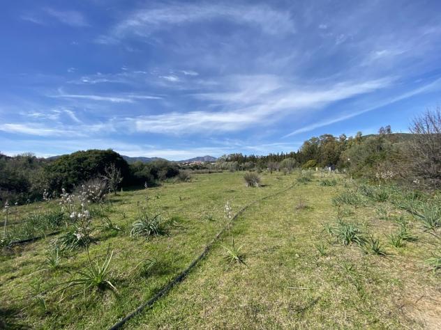 Terreno Agricolo - Budoni . Rif.: cod. rif5949651VRG - Foto 4