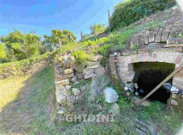 VILLA di 66 vani e di 200 mq (CAMPAGNATICO) rif. 2532.68M - Foto 12
