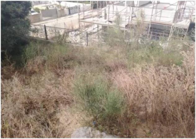 Immobile in asta di 262 m² con più di 5 locali in vendita a Erice - Foto 15