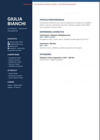CV PROFESSIONALE MODERNO 20€ - Consegna in 1 ora - Esempio in foto