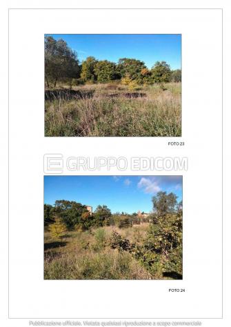 Terreno di 13507 mq in vendita a Bracciano - Rif. 4556556 - Foto 8