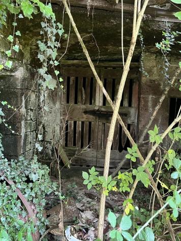 Nel comune di Sorano e precisamente nella frazione di San Giovanni delle Contee che dispone di servizi di prima necessità e dista circa 14 km da Soran - Foto 13