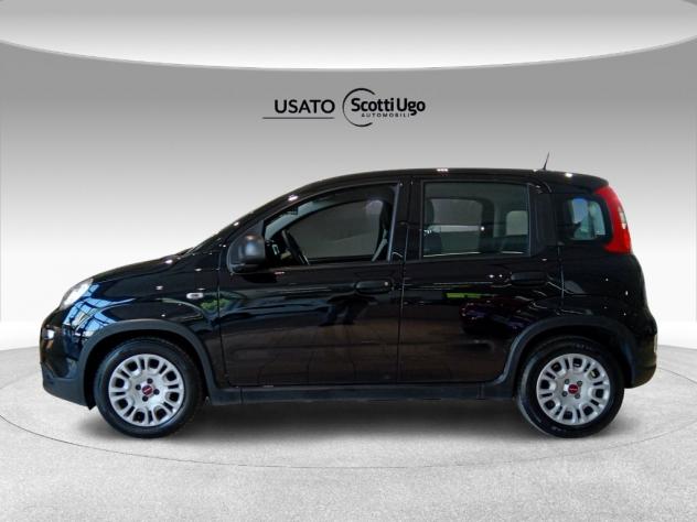 FIAT Panda III 2021 1.0 firefly hybrid s&s 70cv - Foto 5