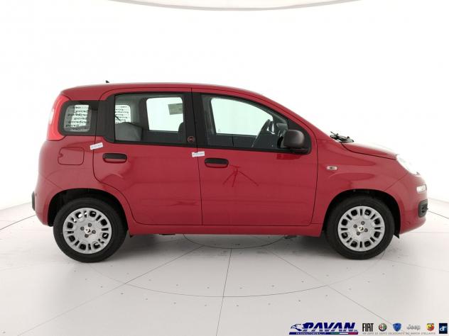 FIAT Pandina 1.0 FireFly 65 CV Hybrid Pop - Foto 5