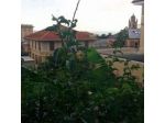 Hotel Palace-Mare S.r.l.