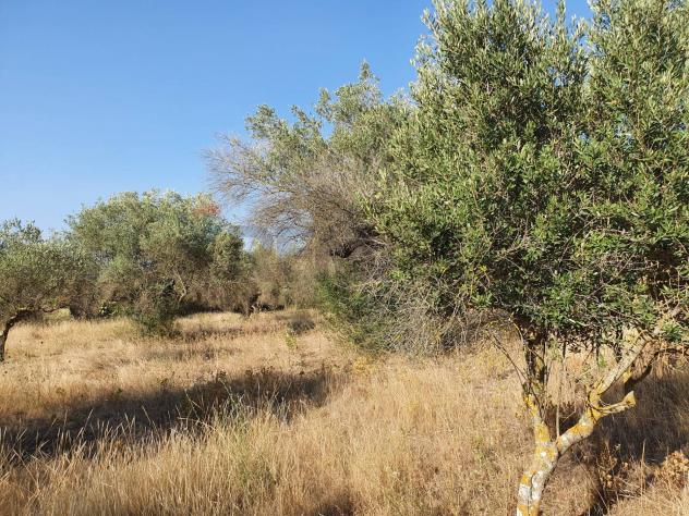 Terreno in vendita a Caltagirone, Santo Pietro - Foto 6