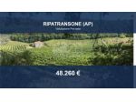 Immobile in asta di 22880 m² in vendita a Ripatransone