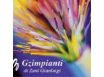 G.Z. Impianti