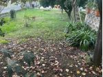 Villetta bifamiliare in vendita a Avenza - Carrara 180 mq  Rif: 1296350