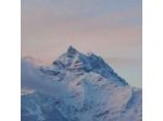 Life Hotel Des Alpes