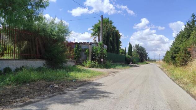 Terreno Agricolo - San Severo . Rif.: Cod. rif 3294216VCG