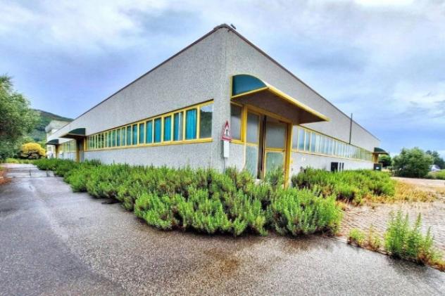 Immobile in asta di 3307 m² in vendita a Vicopisano