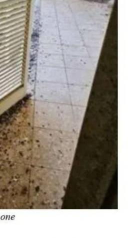 Immobile in asta di 116 m² con più di 5 locali in vendita a Corigliano d'Otranto - Foto 2