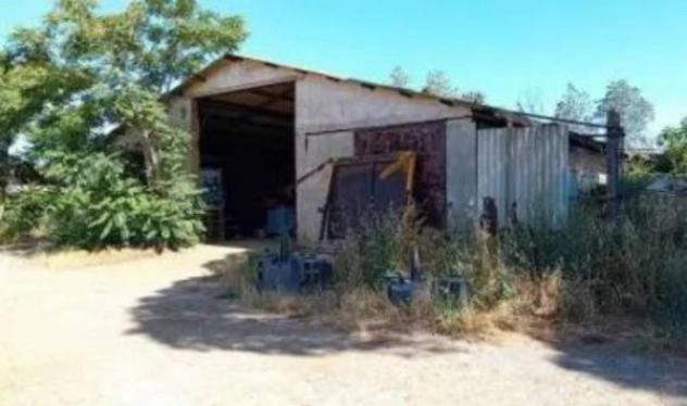 Immobile in asta di 4130 m² in vendita a Gavorrano - Foto 3