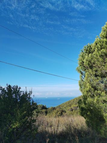 Terratetto in vendita a Livorno 75 mq Rif: 1453027