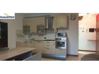 Trilocale in affitto a Lentate sul Seveso
