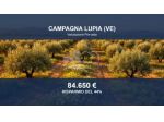 Immobile in asta di 19650 m² in vendita a Campagna Lupia