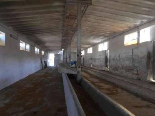 Immobile in asta di 1103 m² in vendita a Thiesi - Foto 15