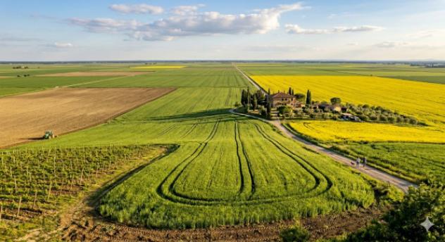 Terreno di 500000 m² in vendita a Alessandria