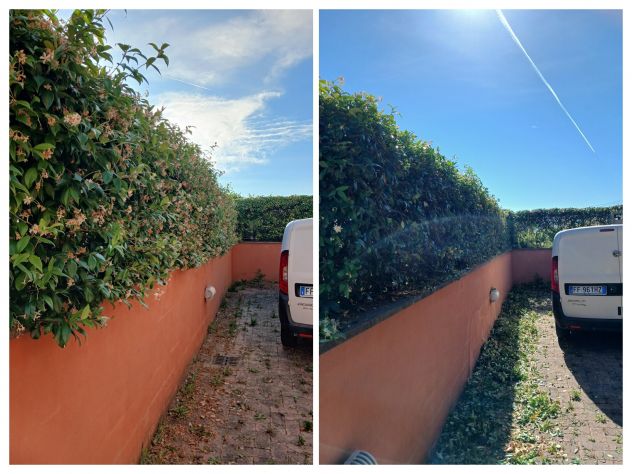 Taglio siepe e Triturazione ramaglie - Foto 4