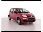 FIAT Pandina My26 1.0 65cv Hybrid Icon