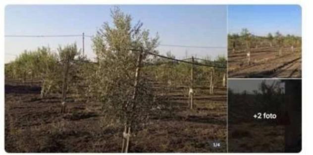 Immobile in asta di 147 m² con più di 5 locali e box auto in vendita a Foggia - Foto 11