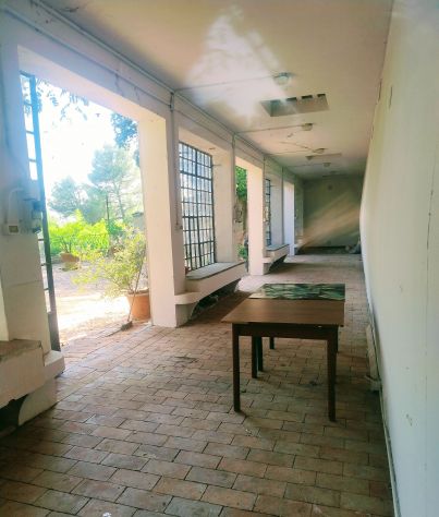 offro ampio locale piano terra ( ex limonaia) - Foto 3
