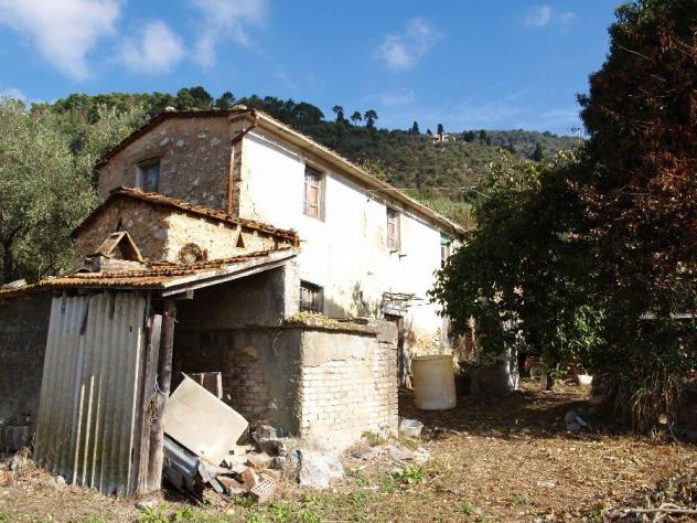 RUSTICO di 6 vani e di 200 mq (CAMAIORE - Pieve di Camaiore) rif. 187