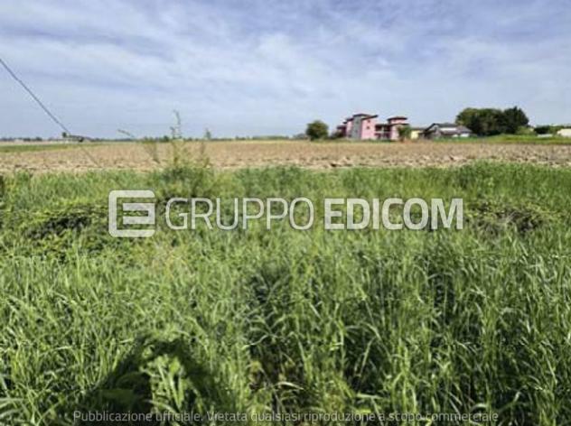 Terreno di 5923 mq in vendita a Nogara - Rif. 4555083 - Foto 4