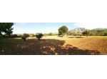 1849/PRATASANNITA Terreno agricolo in piano per i ¾ ed il rimanente allevat &hellip;