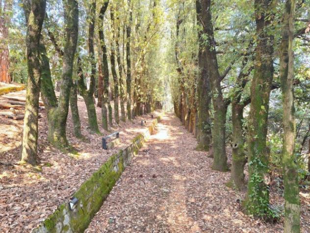 Immobile in asta di 583 m² con più di 5 locali in vendita a Monte Castello di Vibio - Foto 6