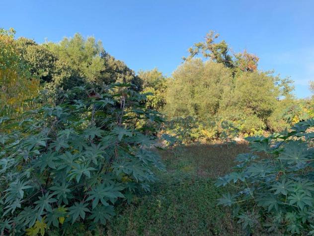 Terreno in vendita a Aci Catena - Foto 17