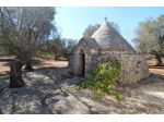 VENDITA TERRENO CON TRULLO C.DA PALMO FRANCAVAILLA FONTANA