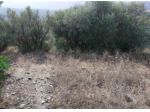 Immobile in asta di 660 m² in vendita a Loiri Porto San Paolo