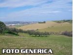 Terreno agricolo in vendita a Vecchiano 5000 mq  Rif: 1348019