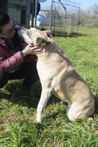 Thor un passato triste da dimenticare - Foto 6